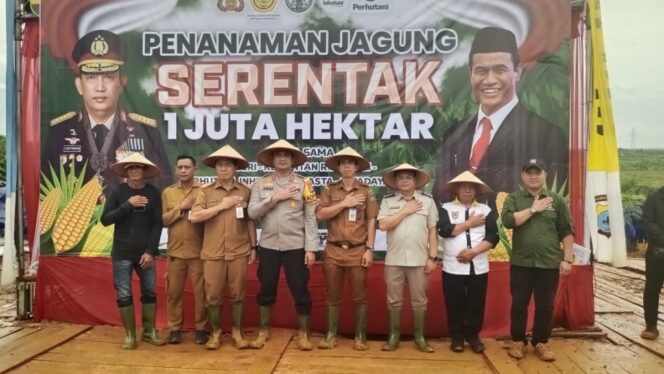 
 Penanaman Jagung Serentak 1 Juta Hektar Desa Sarigadung Tingkatkan Produksi Pangan Nasional