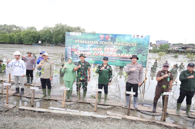 
 Peringati HUT Ke-67 Kodam VI/Mulawarman, Tanam Mangrove di Kawasan Pesisir Tanah Bumbu