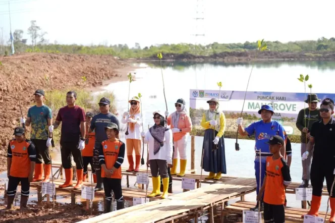 
 Hari Mangrove Sedunia 2026, Tanah Bumbu Tanam Mangrove untuk Generasi Mendatang
