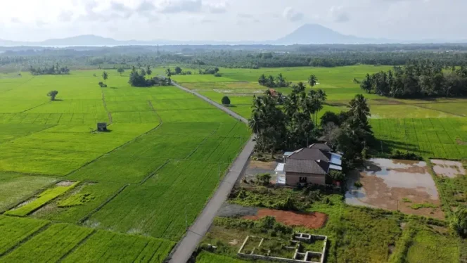 
 Bupati Andi Rudi Latif Dorong Produktivitas Petani dan Petambak Lewat Pengaspalan Jalan di Desa Sepunggur