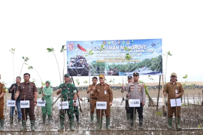 
 Tanah Bumbu Tanam 1.000 Mangrove Sambut HUT ke-81 TNI